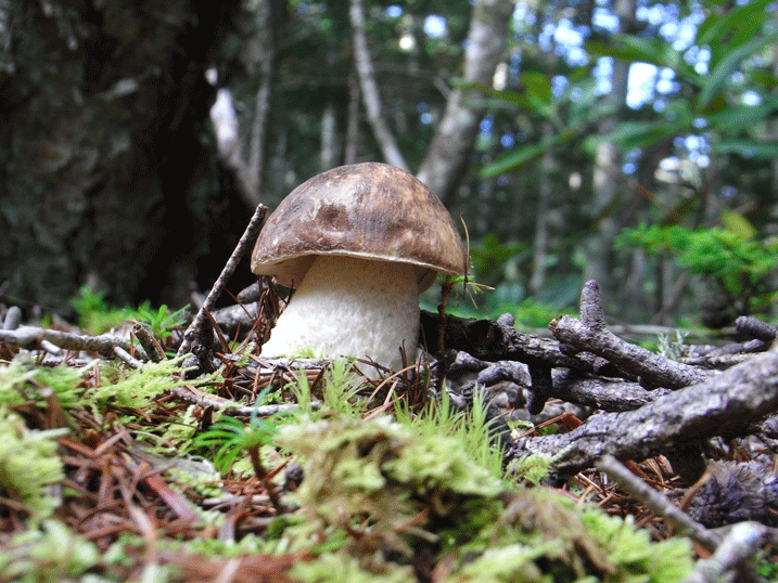 90906ヤマイグチ