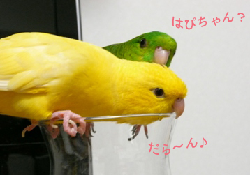 20100824_005のコピー.jpg