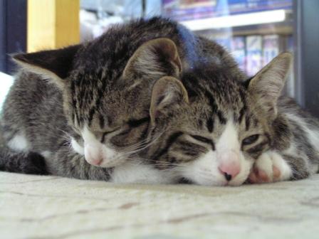 なんか、重いなあ・・・