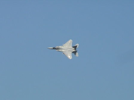 去年もこれだけだった