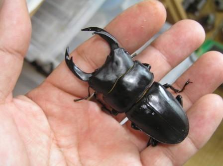 無事、ご帰還。