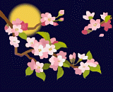 桜.gif