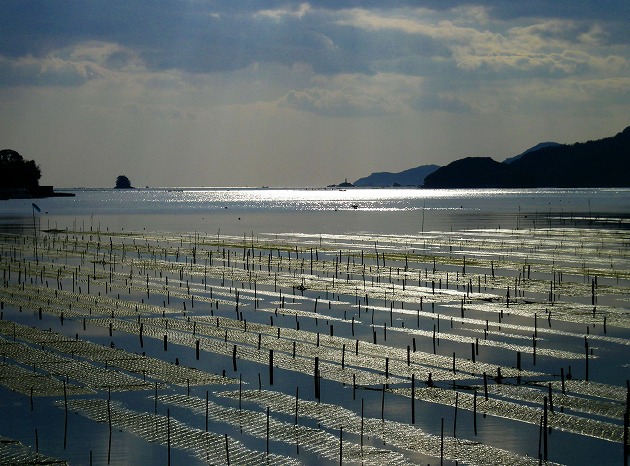 五ヶ所湾　海苔筏