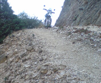 ノミサカ林道01