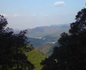 ノミサカ林道03