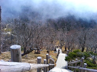 日の出ヶ岳階段320