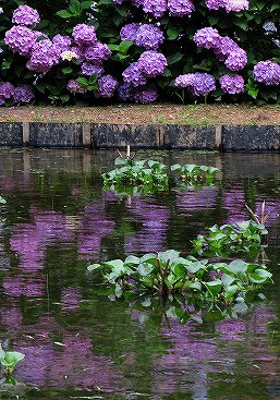 s-IMG_1014-p.jpg