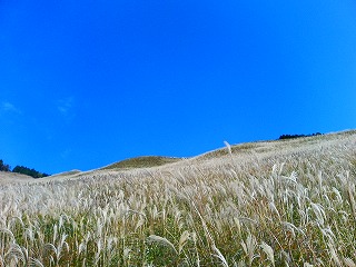 曽爾高原01　320