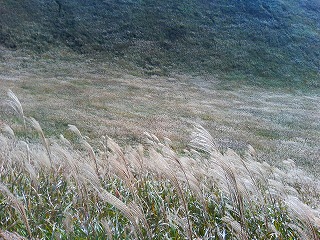 曽爾高原02　320