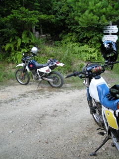 s-DSCN2973.jpg