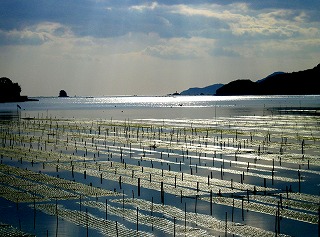 五ヶ所湾海苔