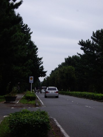 arakawa200809286.jpg