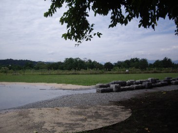 tamagawa200809232.jpg