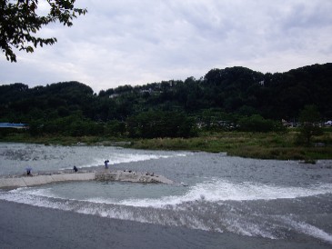 hamura200809232.jpg