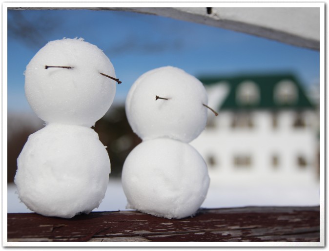 A様より幸だるま2012元旦