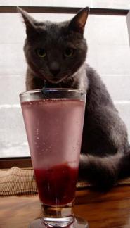 いやいや、それはキミの飲み物じゃないから