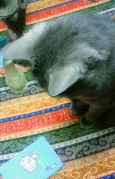 なんの「お誘い」かな？（どきどきどき）