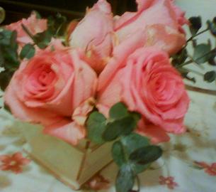 コーダまでいっしょに