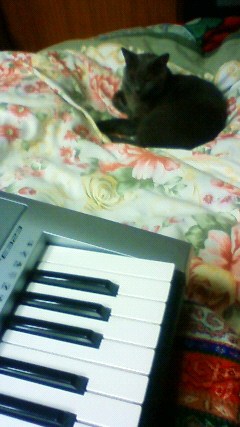 音の棲む場所緊急体制の図