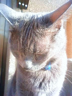 ぶるぶるぶｒｒｒ・・さぶっ