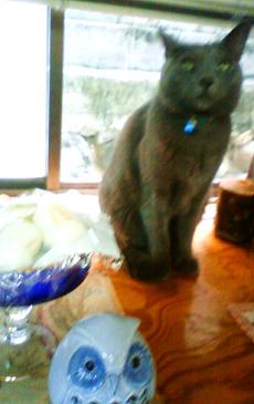 なんのことかな？（しらんぷりっ）