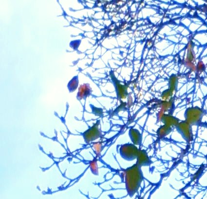 2010-12-31 15:13:04