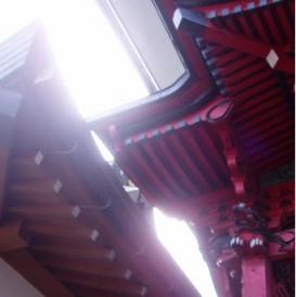 夏のなごりのひかりの中で