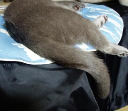 はみでてるってば・・・（笑）