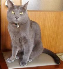 今度はどこへ行くんですか？（怒）