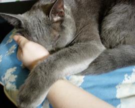 手枕希望！動いちゃダメ