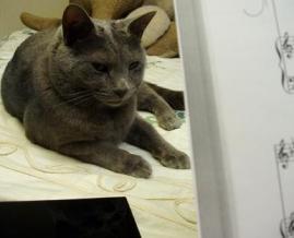 楽譜ひろげすぎ！（怒）