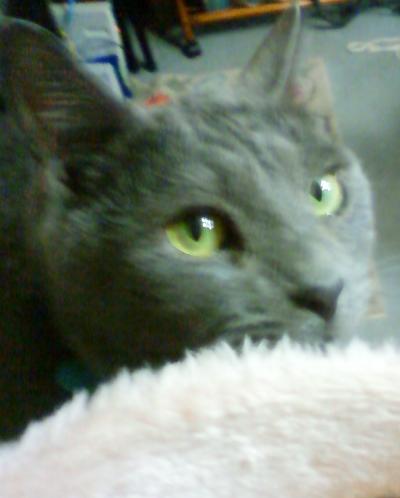 なにかな？（きらりんっ）ｂｙ見張り役Ｍ氏