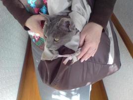 春のにゅー・ふぁっしょん？