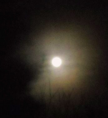 おつきさんとおさんぽ♪