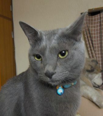 目線にコダワリｂｙニヒル研究家Ｍ氏