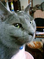 おやぁ？花粉・・かな？（涙目）