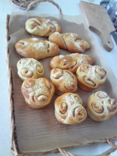 110131_1321~01 (3).jpg