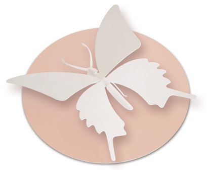 チョウホワイト