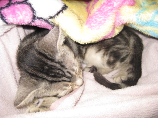 セナ2008-2009 218.jpg