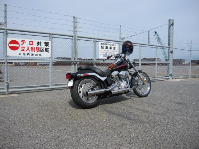 スカルタイマーカバー3.JPG