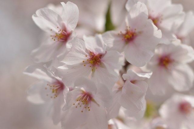 クローズアップレンズ