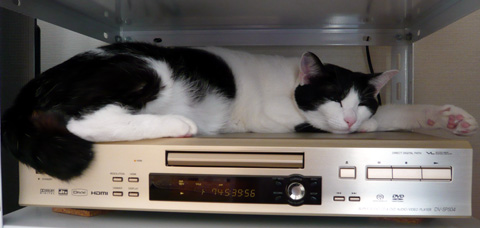 クラッシックを聴きながら・・