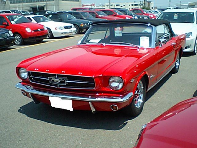 マスタングの真っ赤