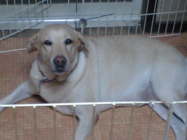 もう少し遊んであげようか?