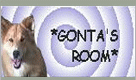 baner-gonta.gif
