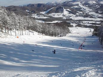 20091220ロシニョールカップ２日目４.jpg