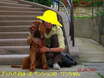 400DSCN0078.jpg