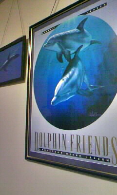 ドルフィン.JPG