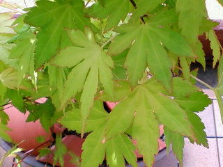 2010-04-26 13:48:56