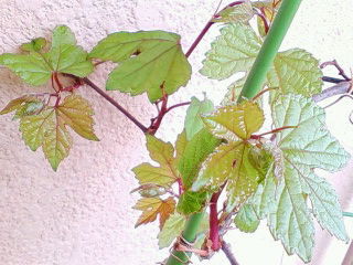 2010-04-26 13:48:56